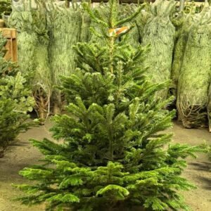 Wholesale Christmas Trees Pallet — 50 Artificial Trees for Resale