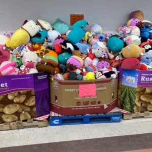 Wholesale Dog Toys Pallet — 500 Assorted Pet Toys for Resale