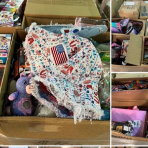High Piece Count Novelty Pallet — Mostly New Items, Electronics-Loaded