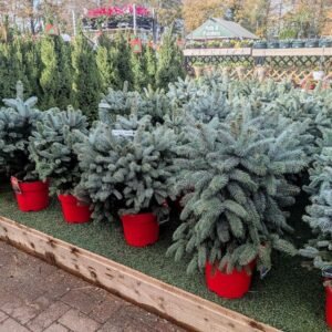 50 Artificial Trees for Resale - Wholesale Christmas Trees Pallet – Est. 320–500 Pieces – photo 5