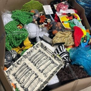 Halloween Costume Liquidation Pallet
