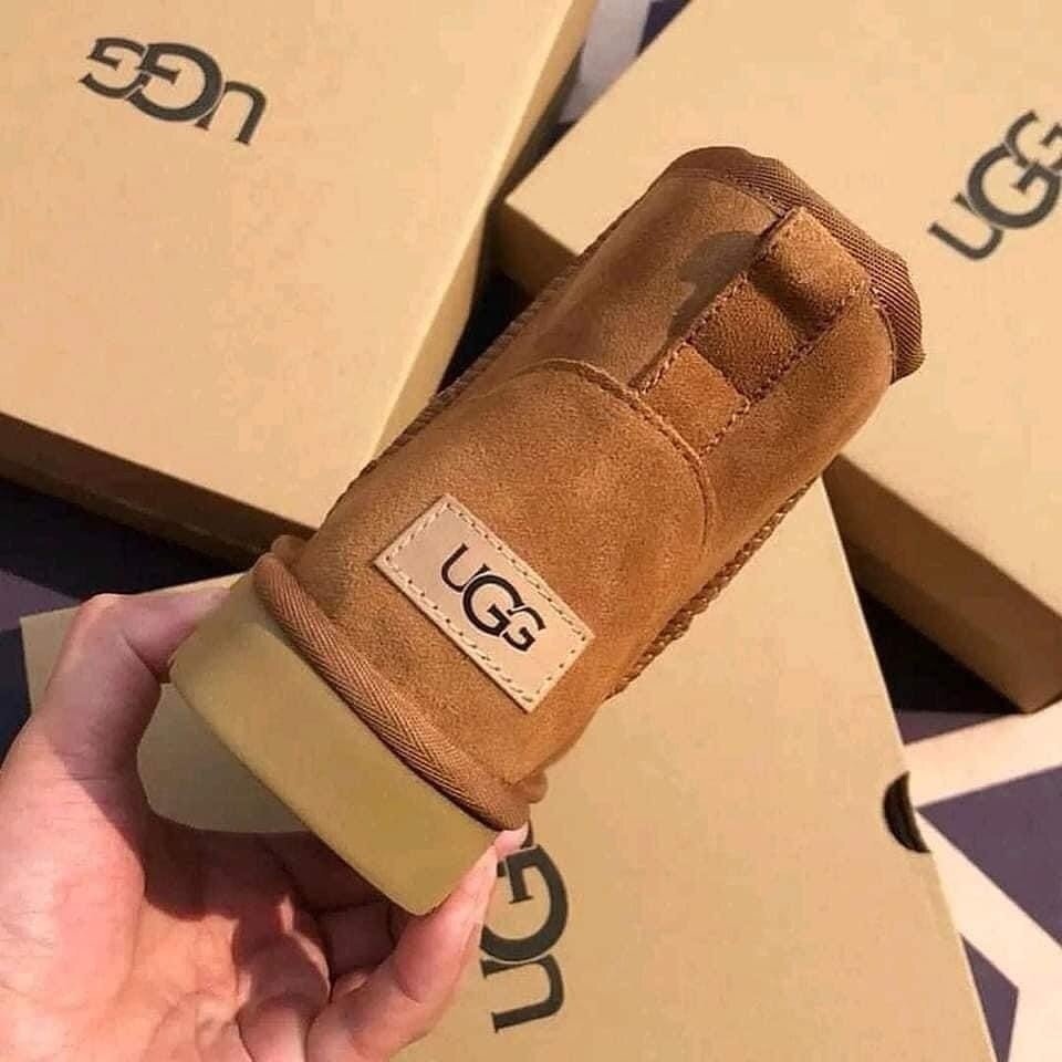 Ugg Shoes Pallets: 120 Pairs Ugg shoes pallets 120 - Ugg Shoes Pallets: 120 Pairs