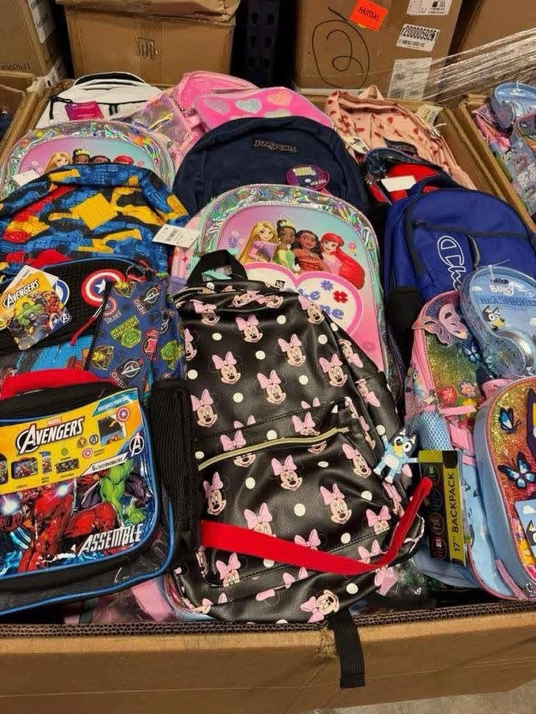 Wholesale School Bags Pallet – Est. 220–350 Pieces – photo 4 Wholesale School Bags Pallet – Est. 220–350 Pieces – photo 4