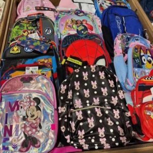 Wholesale School Bags Pallet – Est. 220–350 Pieces – photo 5